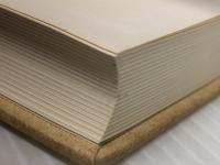 スポーツと催眠 (1970年) ※イタミ有