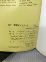 【難あり】カラー聖書ガイドブック