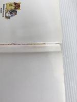 ※イタミ有。チョコボの不思議なダンジョン解体真書 KADOKAWA(エンターブレイン) スタジオベントスタッフ