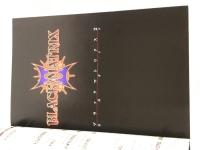 ※イタミ有。ブラックマトリクス2 公式ガイド (The PlayStation2 BOOKS) ソフトバンククリエイティブ キュービスト