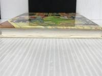 ※イタミ有。きょうりゅうがめいろにやってきた (世界こどもの文学) 金の星社 アン フォーサイス