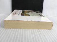 ※イタミ有。ソロモン王の絨毯 (角川文庫 レ 1-13) KADOKAWA バーバラ ヴァイン