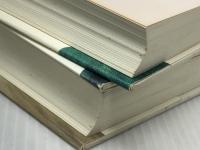 永遠の仔 上下巻セット ※イタミ有