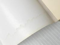 アイ・ラブ安吾 (朝日文芸文庫 お 30-1) 朝日新聞出版 荻野 アンナ ※難あり