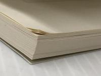 おネコさま御一行 れんげ荘物語 (ハルキ文庫 む 2-18) 角川春樹事務所 群 ようこ ※カバー無し