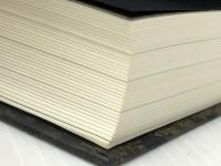 テスカトリポカ  KADOKAWA 佐藤 究　※カバー無し