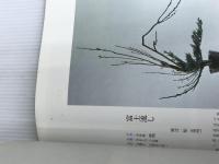 ※イタミ有。伝承のいけばな行事と歳時の生花 主婦の友社 主婦の友社