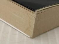 死刑にいたる病 (ハヤカワ文庫 JA ク 8-1) 早川書房 櫛木理宇　 早川書房 櫛木理宇 ※イタミ有