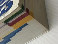 大活字薬の事典 2003年版 ナツメ社 林 泰 ※イタミ有