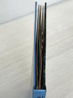 こわいゆめ: くまのプ-さん (ディズニーしかけえほん) 大日本絵画 デニス デュレル