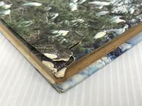 ※イタミ有。鳥のなかま (なぜなぜ理科学習まんが) 集英社 しのはら幸雄