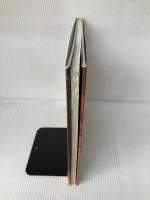 【イタミ有り】琵琶湖逍遙: マツシマススム写真集