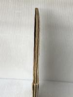 Toーy (少年サンデーグラフィック) 小学館 上條淳士※難あり