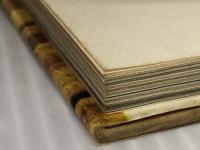 草月流―いけばなグラフィック (1963年)※イタミ有