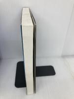 ストリームラインオブジェクトモデリング: パターンとビジネスルールによるUML 桐原書店 ジル ニコラ