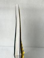 散歩自転車、旅自転車。 Vol.2 (エイムック 724) エイ出版社 ※イタミ有