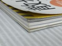 散歩自転車、旅自転車。 Vol.2 (エイムック 724) エイ出版社 ※イタミ有