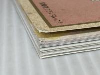 FLOWER FAIRIES ~花の妖精たちのひみつ (e-MOOK 宝島社ブランドムック) 宝島社 ※付録欠品