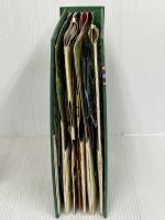 【※難あり】ジャングルブック (とびだししかけえほん)  大日本絵画   マシュー ラインハート