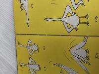 ※イタミ有。ペチューニアのだいりょこう 冨山房 ロジャー・デュボワザン