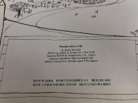 ※イタミ有。ペチューニアのだいりょこう 冨山房 ロジャー・デュボワザン