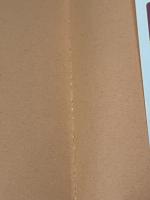 お母様の手で指導する小学校受験の巧緻性 星雲社 ルーブル家庭教師会