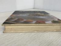 ※イタミ有。四季のフランス菓子 柴田書店 安井 寿一