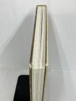 【※イタミあり】Precursor: The Creativity Watchlist   Gestalten   Klanten, Robert