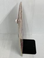 【※イタミあり】HUGっと! プリキュア オフィシャルコンプリートブック (学研ムック)   学研プラス