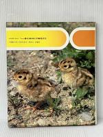 キジのくらし (カラー自然シリーズ 45) 偕成社 遠藤 公男※イタミ有