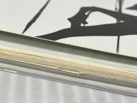 優駿 2012年 06月号 [雑誌] 中央競馬ピーアール・センター ※付属欠品