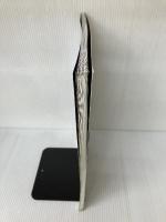 【付属品欠品】地方鉄道スペシャル (みんなの鉄道DVDBOOKシリーズ メディアックスMOOK) メディアックス