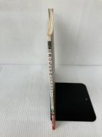 【イタミ有り】革ひもの手作りアクセサリー　(レディブティックシリーズ no. 2953) ブティック社