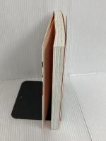 ※イタミ有。ザ・プレゼンテーション ダイヤモンド社 ナンシー・デュアルテ