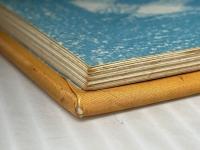 おおきくなったねずみ (フレーベルのえほん 13) フレーベル館 田沢 梨枝子※イタミ有