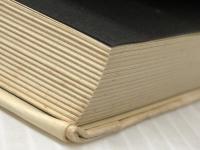 レーニン (1977年) (世界の思想家〈22〉)※イタミ有