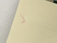 日本精神史 ぺりかん社 石田 一良※イタミ有