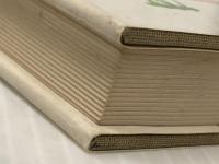 猫額園の博物誌 (1977年) 渓水社 赤木 海三※イタミ有