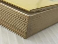 若きいのちの日記 (1969年) (銀河ノンフィクション〈4〉)※イタミ有