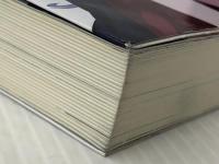 世界征服-白いケイトと真夏のベルビアージェ-（書籍・小説）