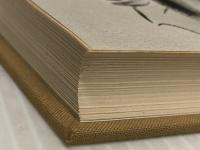 川端茅舎 (1979年) (新訂俳句シリーズ・人と作品〈12〉) 桜楓社 石原 八束※カバー無し