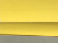 日本脱藩のすすめ 東京新聞出版部 藤原肇