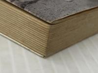 わたしは女子留学生 (1963年) (サンデー新書)※イタミ有