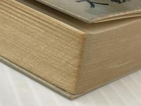 凶銃ルーガー08 (大籔春彦活劇選集) 徳間書店 大薮春彦※イタミ有