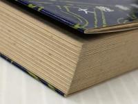 神通力入門 (1978年)※イタミ有