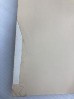 【※カバー無し】ウンカ: おもしろ生態とかしこい防ぎ方 農山漁村文化協会 那波 邦彦