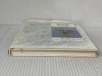 ※イタミ有。ベランダの庭仕事 ソニ-・ミュ-ジックソリュ-ションズ 横山 美恵子