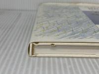 ※イタミ有。ベランダの庭仕事 ソニ-・ミュ-ジックソリュ-ションズ 横山 美恵子