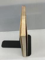 統計学の未来―推計学とその後の発展 (UP選書)　 東京大学出版会　 竹内啓