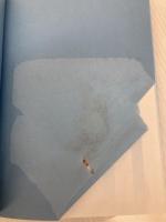 【※CD欠品】サッカーアルゼンチン流 個人スキルバイブル カンゼン 亘崇詞